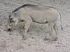 DSCN0276.JPG