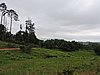 DSCN0278.JPG