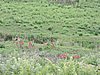 DSCN0279.JPG