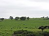DSCN0280.JPG