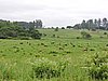 DSCN0282.JPG