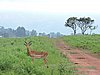 DSCN0283.JPG
