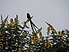 DSCN0290.JPG