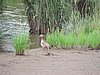 DSCN0292.JPG