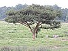 DSCN0296.JPG