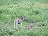 DSCN0297.JPG