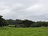 DSCN0302.JPG