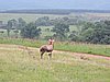 DSCN0309.JPG