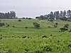 DSCN0311.JPG