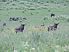 DSCN0312.JPG
