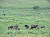 DSCN0318.JPG