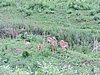 DSCN0319.JPG