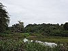DSCN0322.JPG