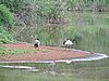 DSCN0324.JPG