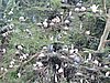 DSCN0325.JPG