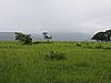 DSCN0326.JPG