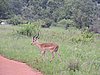 DSCN0330.JPG
