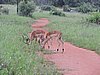 DSCN0331.JPG