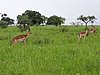 DSCN0334.JPG