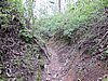 DSCN0341.JPG