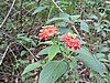 DSCN0343.JPG