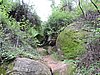 DSCN0345.JPG