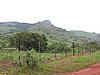 DSCN0346.JPG