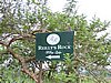 DSCN0347.JPG