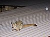 DSCN0350.JPG
