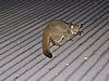 DSCN0353.JPG