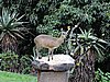 DSCN0356.JPG