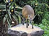 DSCN0357.JPG