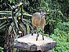 DSCN0358.JPG
