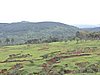 DSCN0388.JPG