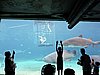 DSCN0398.JPG