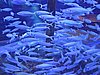DSCN0401.JPG