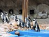 DSCN0407.JPG