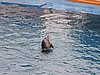 DSCN0408.JPG