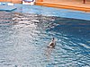 DSCN0409.JPG
