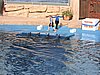 DSCN0414.JPG