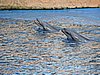DSCN0416.JPG