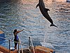 DSCN0418.JPG