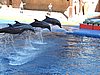 DSCN0420.JPG
