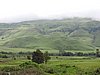 DSCN0436.JPG