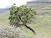 DSCN0468.JPG