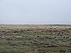 DSCN0483.JPG