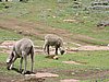 DSCN0484.JPG