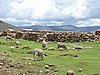 DSCN0488.JPG