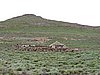 DSCN0489.JPG