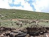 DSCN0490.JPG